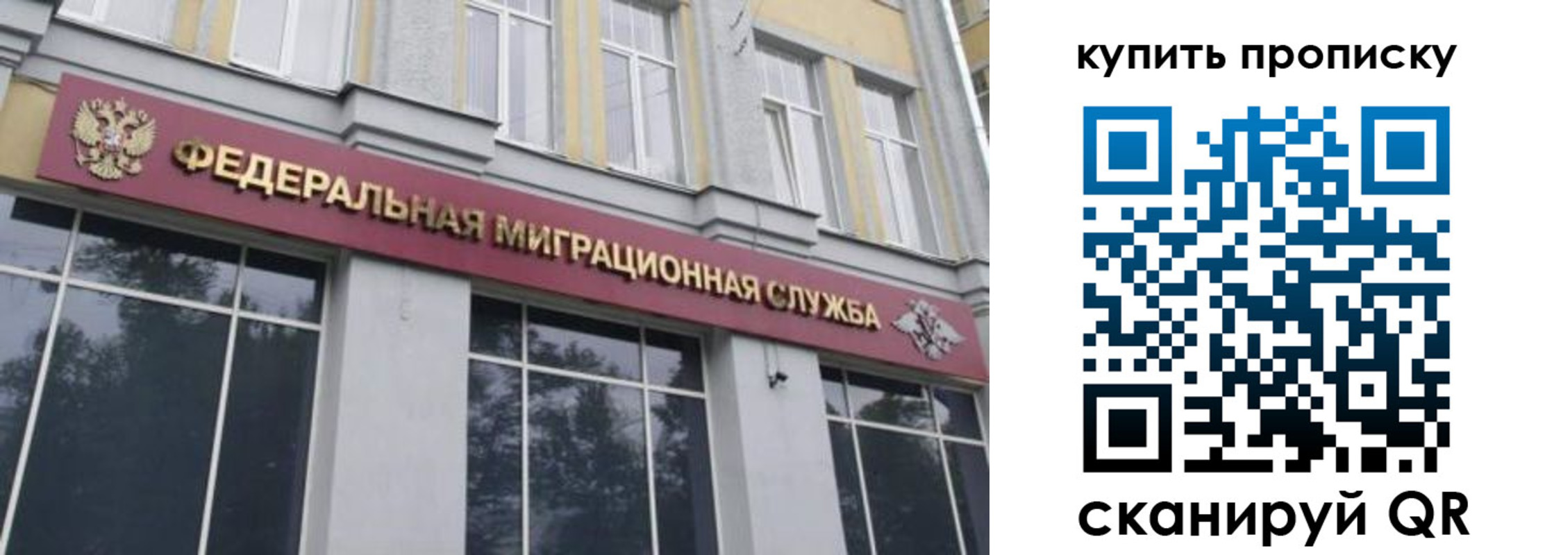 прописка поиск в Соликамске